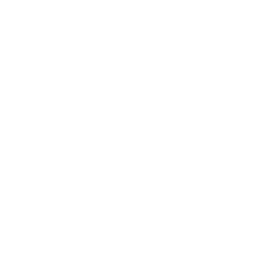 fast payment icon