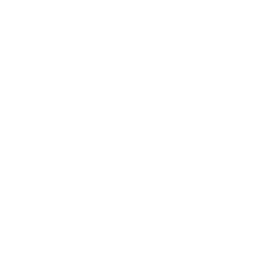 cart icon white